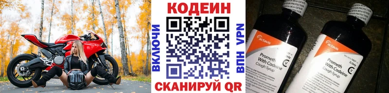 Купить закладки  Южно-Сухокумск  Codein Purple Drank 
