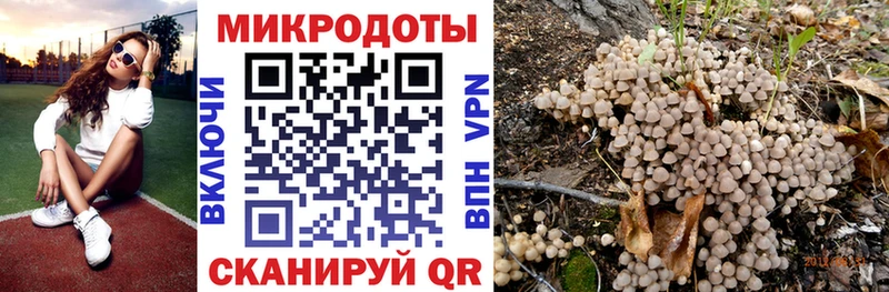 Псилоцибиновые грибы Psilocybe  Купить закладки  Южно-Сухокумск 